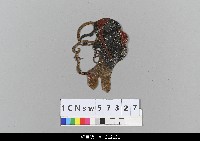 藏品(中國湖北皮影戲偶頭-生)的圖片